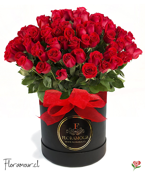 Esta caja de rosas es exclusiva de Florerías Floramour. Servicio de entrega en todas las comunas de la Región Metropolitana de Santiago. Seleccione el color de la rosas: